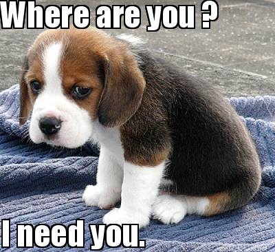 where-are-you-i-need-you