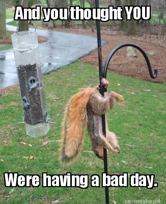 and-you-thought-you-were-having-a-bad-day