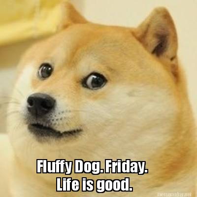 fluffy-dog.-friday.-life-is-good