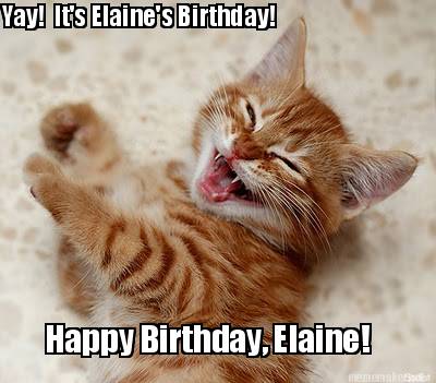 yay-its-elaines-birthday-happy-birthday-elaine