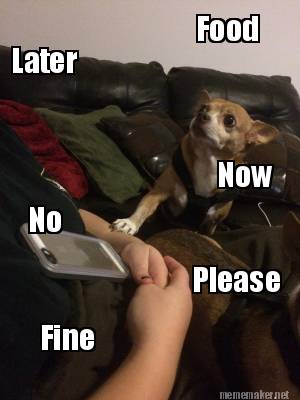 food-later-now-no-please-fine