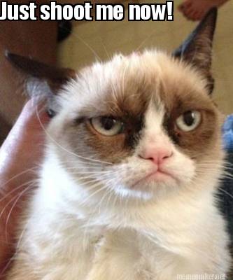 Meme Maker - Just shoot me now! Meme Generator!