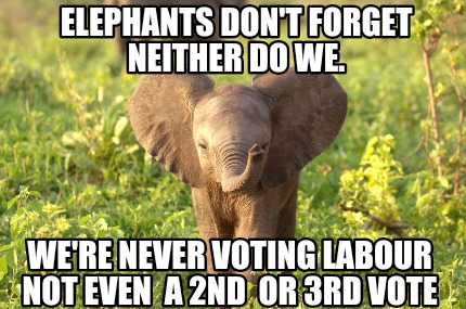 elephants-dont-forget-neither-do-we.-were-never-voting-labour-not-even-a-2nd-or-