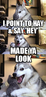 i-point-to-hay-say-hey-made-ya-look