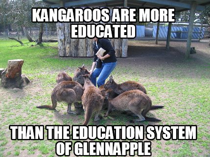 kangaroos-are-more-educated-than-the-education-system-of-glennapple