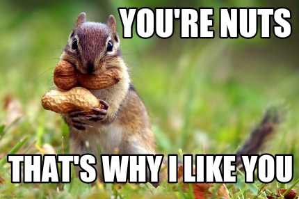 youre-nuts-thats-why-i-like-you