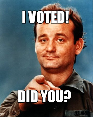 Image result for I Voted Meme