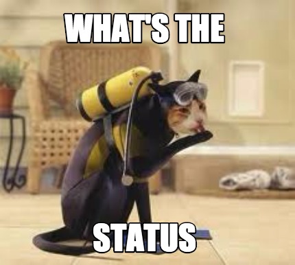 whats-the-status