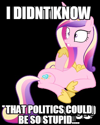i-didnt-know-that-politics-could-be-so-stupid
