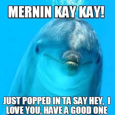 mernin-kay-kay-just-popped-in-ta-say-hey-i-love-you-have-a-good-one