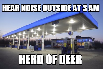 hear-noise-outside-at-3-am-herd-of-deer