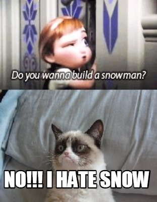 no-i-hate-snow