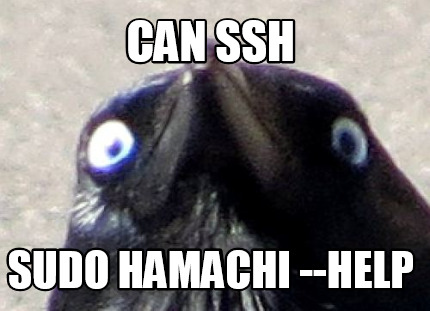 can-ssh-sudo-hamachi-help