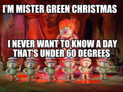 im-mister-green-christmas-i-never-want-to-know-a-day-thats-under-60-degrees