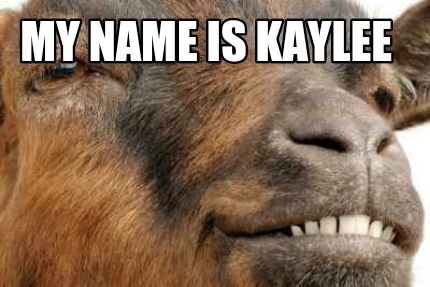 Meme Maker - My name is Kaylee Meme Generator!