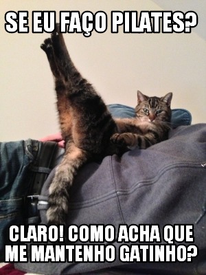 se-eu-fao-pilates-claro-como-acha-que-me-mantenho-gatinho