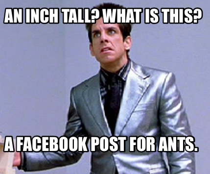 an-inch-tall-what-is-this-a-facebook-post-for-ants