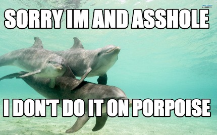 sorry-im-and-asshole-i-dont-do-it-on-porpoise