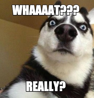 Really. Мем really. Мем whaaaat. Фото whaaaat?. Meme maker.