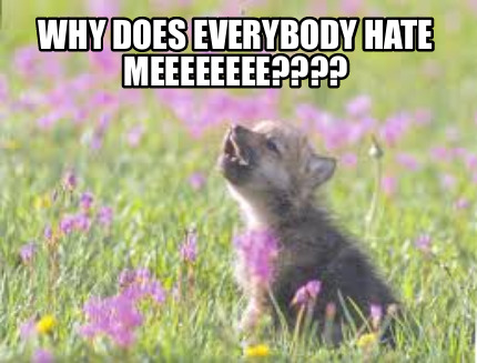 why-does-everybody-hate-meeeeeeee