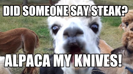 did-someone-say-steak-alpaca-my-knives
