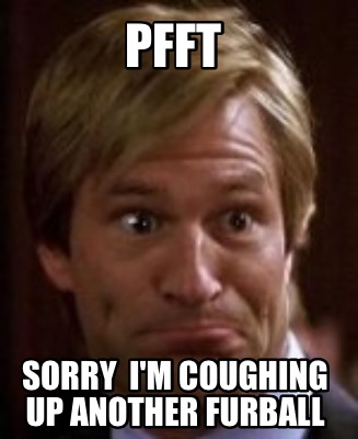 pfft-sorry-im-coughing-up-another-furball