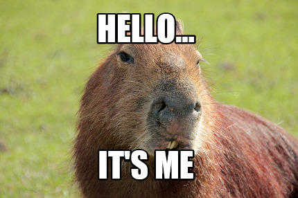 hello...-its-me6