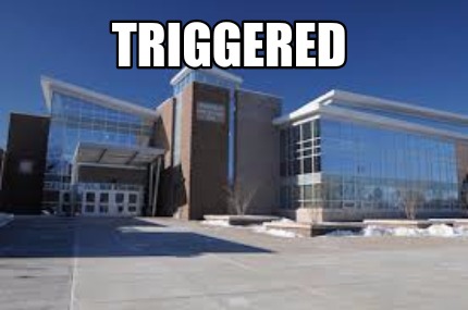 triggered36