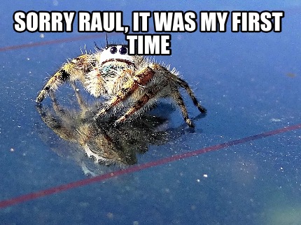 sorry-raul-it-was-my-first-time