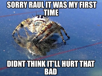 sorry-raul-it-was-my-first-time-didnt-think-itll-hurt-that-bad