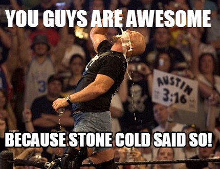 you-guys-are-awesome-because-stone-cold-said-so