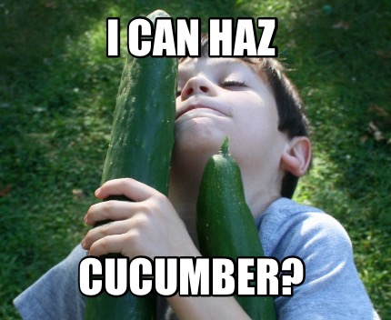 i-can-haz-cucumber