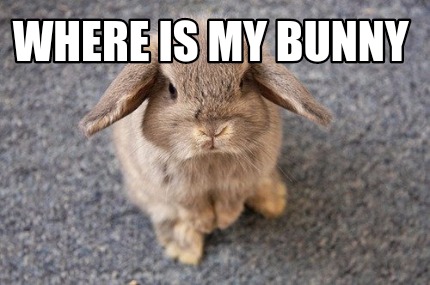 where-is-my-bunny