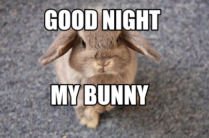 good-night-my-bunny