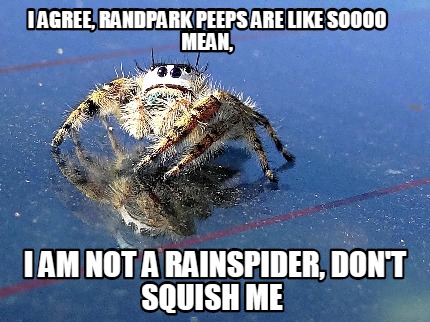 i-agree-randpark-peeps-are-like-soooo-mean-i-am-not-a-rainspider-dont-squish-me