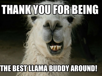 thank-you-for-being-the-best-llama-buddy-around