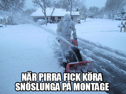 nr-pirra-fick-kra-snslunga-p-montage