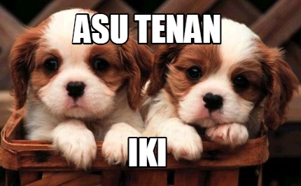 asu-tenan-iki