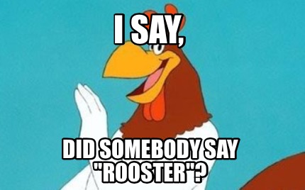i-say-did-somebody-say-rooster
