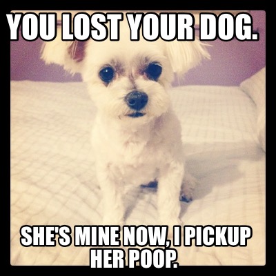 you-lost-your-dog.-shes-mine-now-i-pickup-her-poop