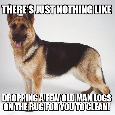 theres-just-nothing-like-dropping-a-few-old-man-logs-on-the-rug-for-you-to-clean