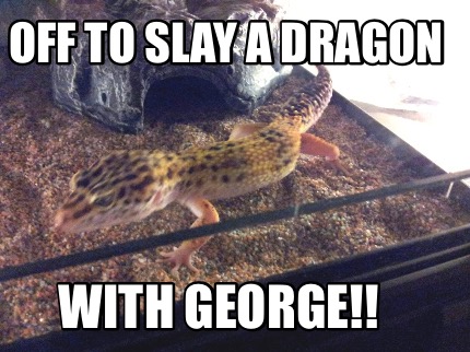 off-to-slay-a-dragon-with-george