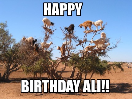 Meme Maker - HAPPY BIRTHDAY ALI!! Meme Generator! Meme Maker - HAPPY BIRTHDAY ALI!! Meme Generator!