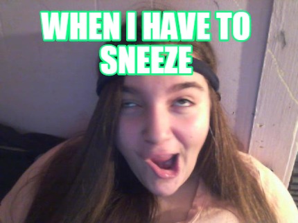 when-i-have-to-sneeze2