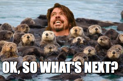 ok-so-whats-next