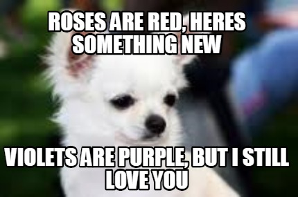 roses-are-red-heres-something-new-violets-are-purple-but-i-still-love-you