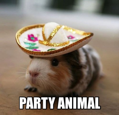 party-animal8