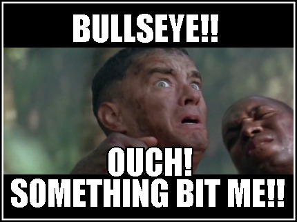 bullseye-something-bit-me-ouch
