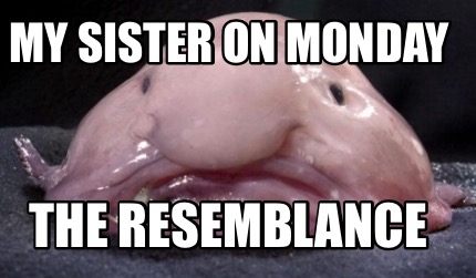 my-sister-on-monday-the-resemblance