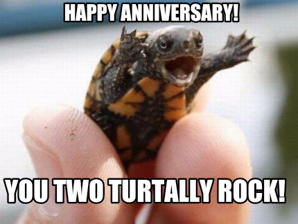 happy-anniversary-you-two-turtally-rock